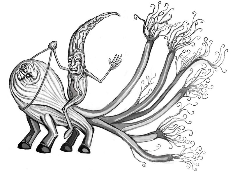 Cayenne Man on Bull Fennel